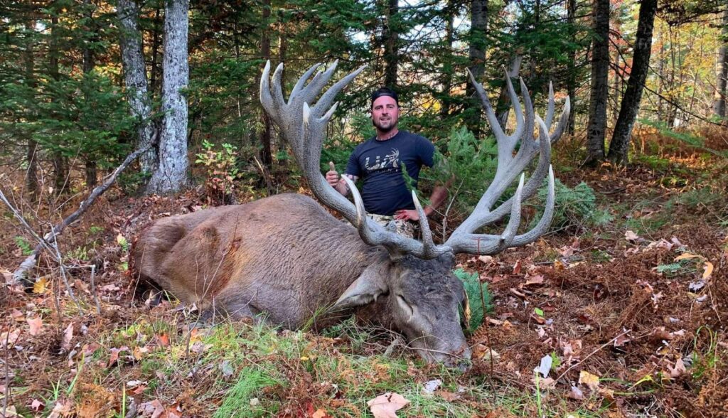 Elk & Red Deer Hunting - Jackson Ranch Elk Outfitters - Canada